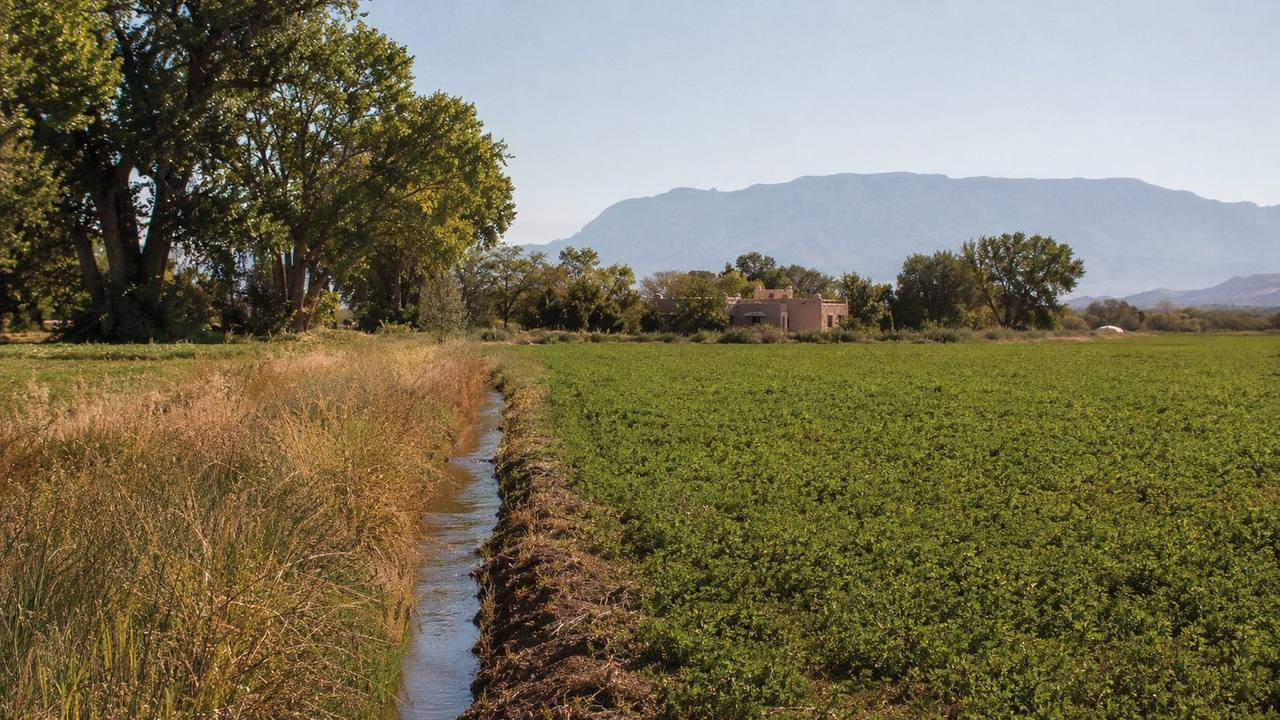 Rural property in Corrales, New Mexico along the Rio Grande bosque with cottonwood trees, an irrigation ditch, and farmland